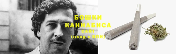 крисы Горнозаводск
