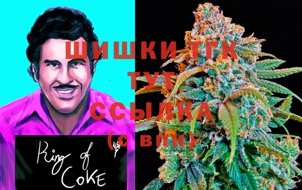 винт Горняк
