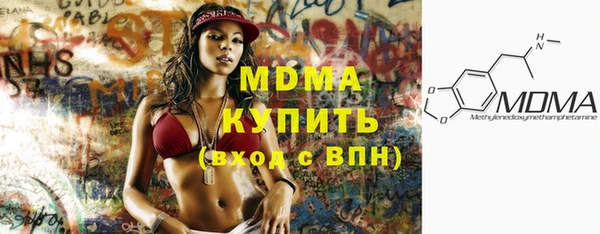 индика Вяземский