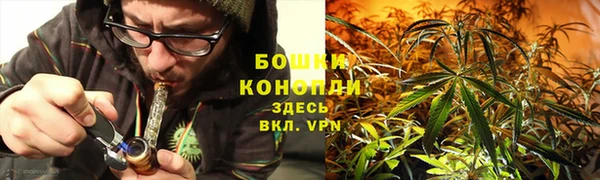 крисы Горнозаводск