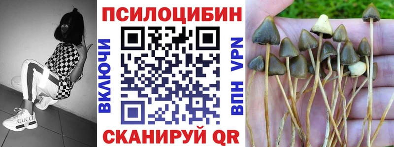 Псилоцибиновые грибы GOLDEN TEACHER  Звенигород 